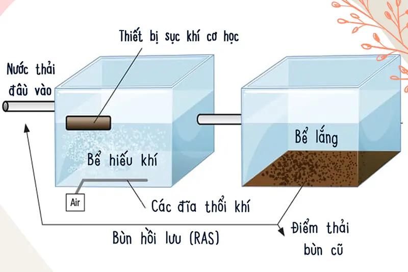 Phương pháp bùn hoạt tính hiếu khí - thiếu khí