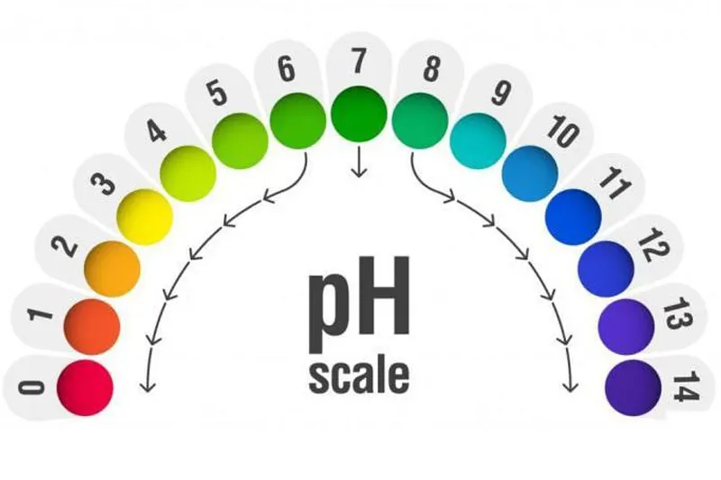 Điều chỉnh nồng độ pH