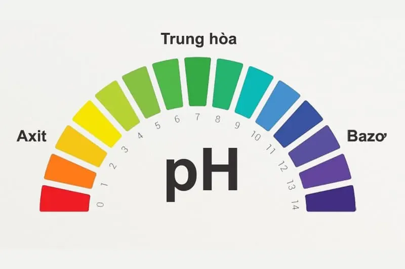 Độ pH của bùn hoạt tính