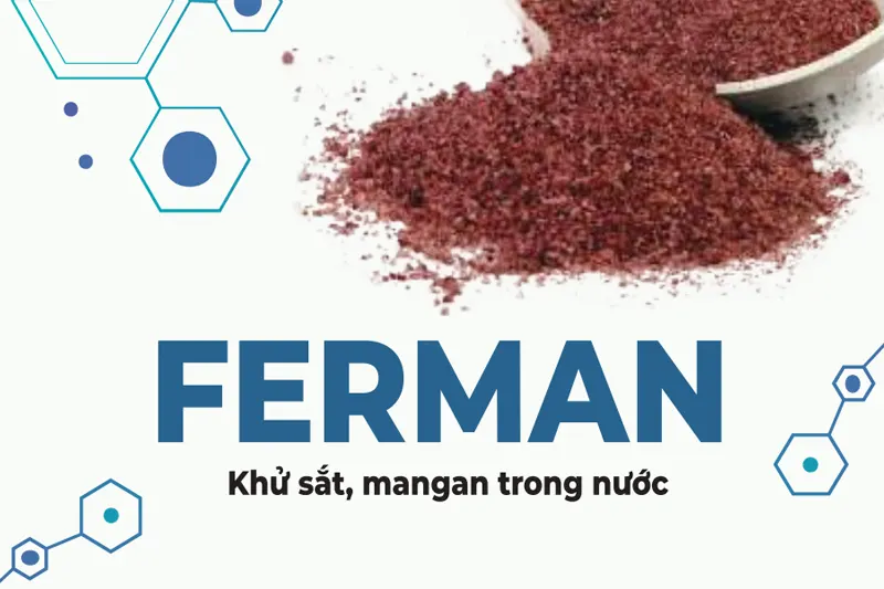 Giới thiệu sơ bộ hạt Ferman