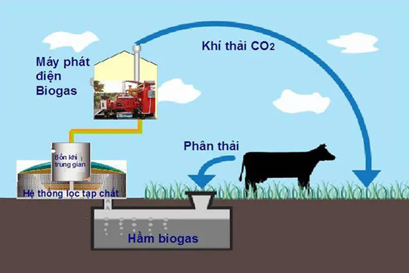 Hệ thống biogas yếm khí