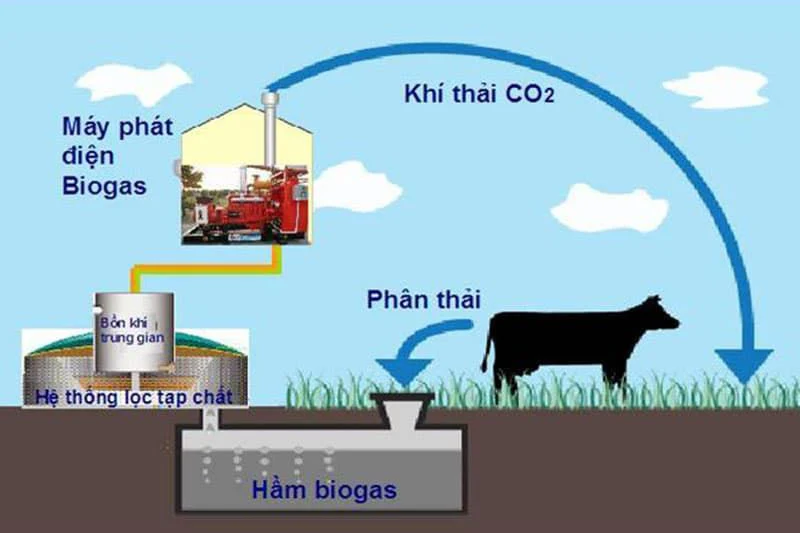 Xử lý chất thải bằng hệ thống khí sinh học Biogas