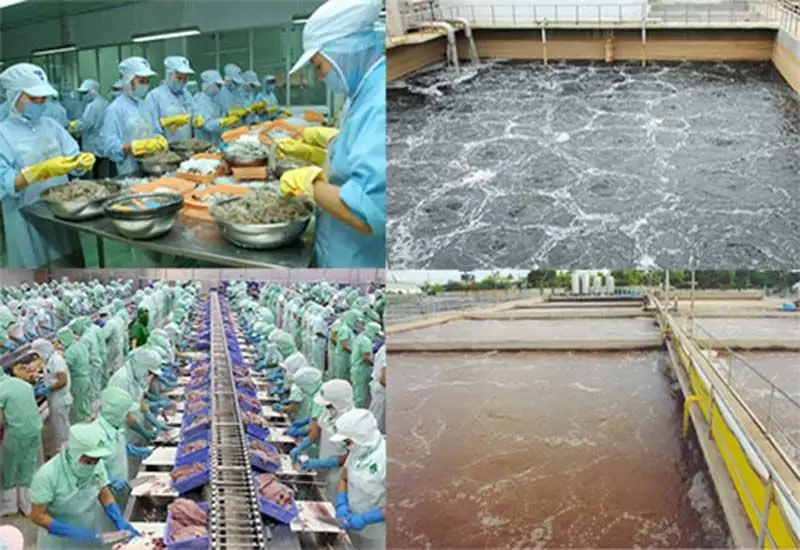 Xử lý nước thải chế biến thuỷ hải sản