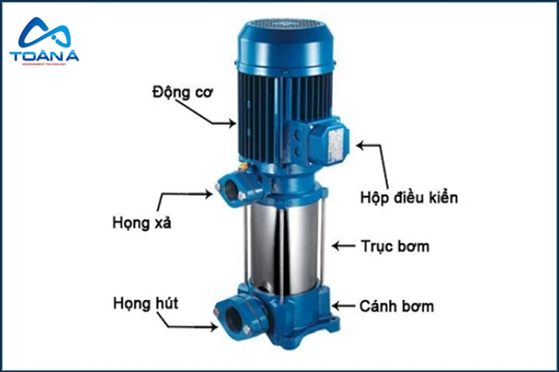 Cấu tạo bơm ly tâm trục đứng: Ưu điểm và nguyên lý hoạt động - 2 Cấu tạo bơm ly tâm trục đứng