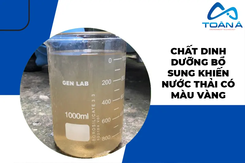 Nguyên nhân và giải pháp khi nước thải sau xử lý có màu vàng - 4 Chất dinh dưỡng bổ sung