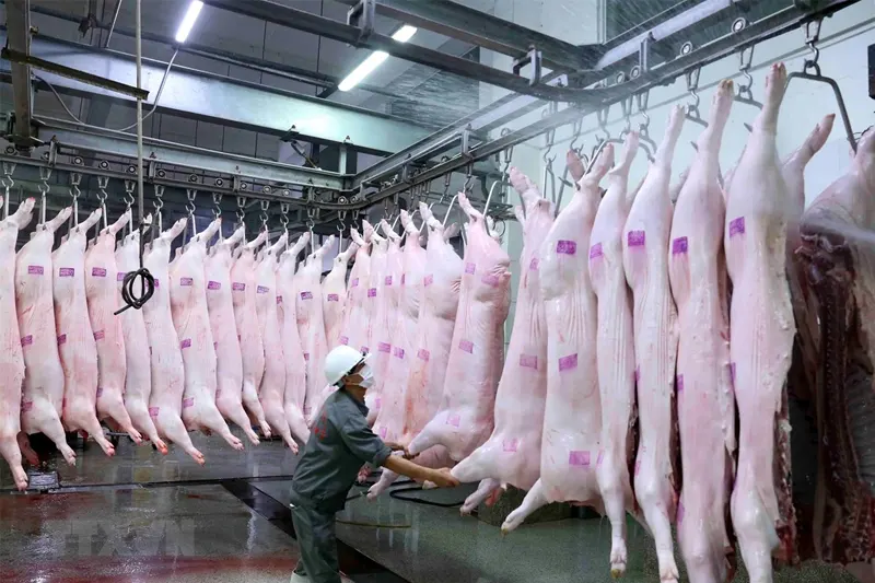 Nước thải giết mổ gia súc gia cầm