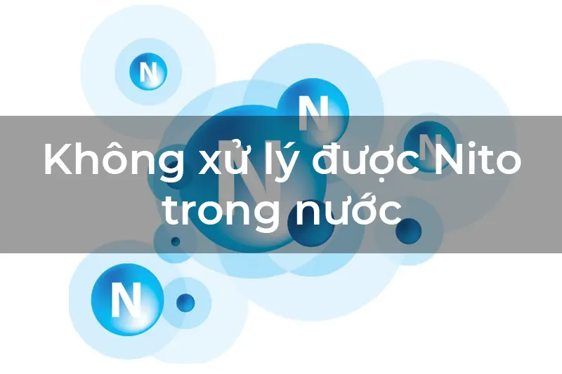 Nguyên nhân và giải pháp khi nước thải sau xử lý có màu vàng - 5 Không xử lý được Nito trong nước
