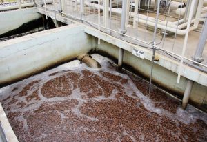 Xử lý nước trong sản xuất bia