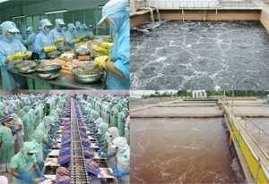 Xử lý nước thải chế biến thuỷ hải sản