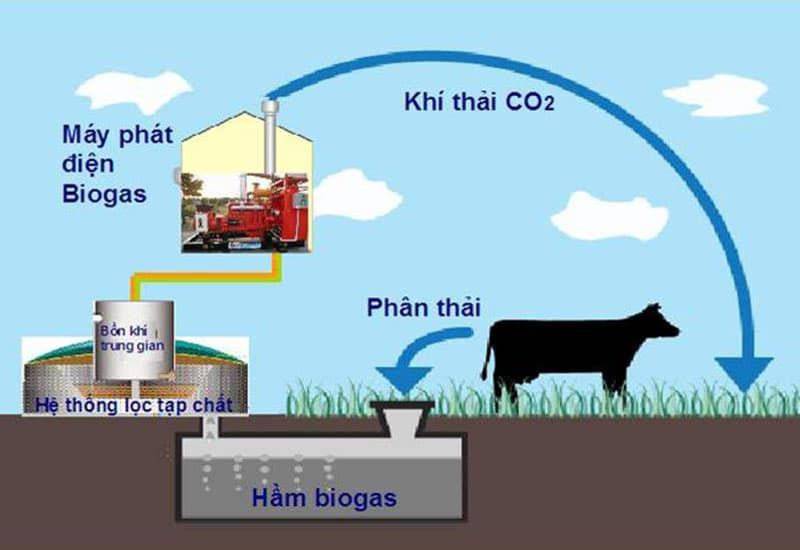 Xử lý chất thải bằng hệ thống khí sinh học Biogas