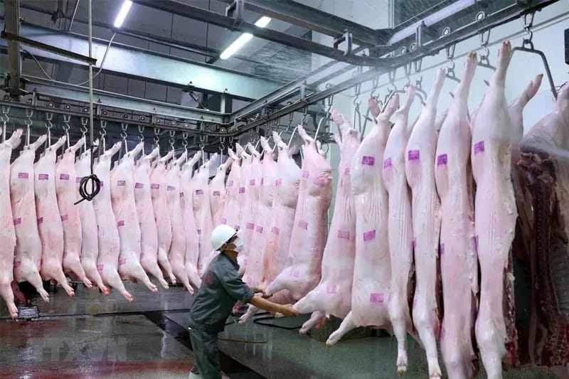 Xử lý nước thải giết mổ gia súc gia cầm